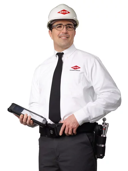 Tehnician dezinsectie, dezinfectie, deratizare
